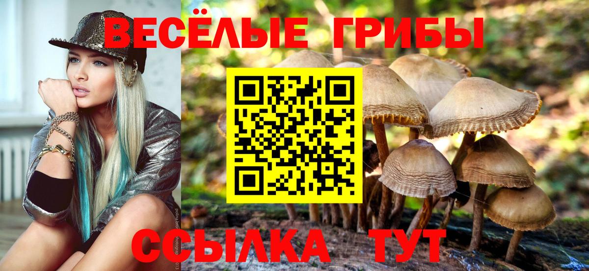 Избербаш  Галлюциногенные грибы Psilocybe  Вход с VPN  Псилоцибиновые грибы Psilocybe 